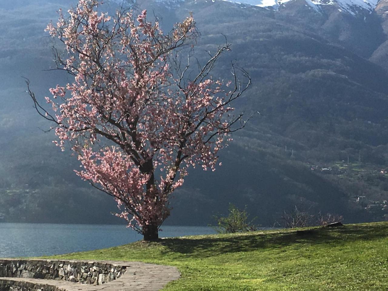 Riflessi Di Lago Dorio Екстериор снимка